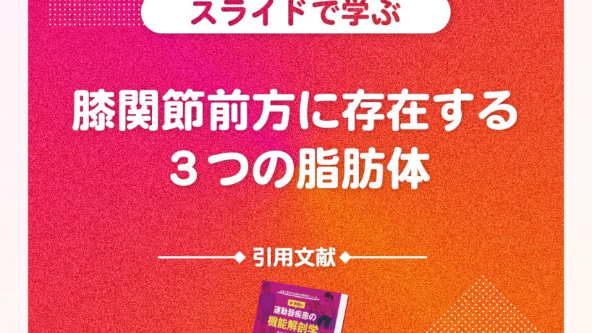 slide_01